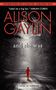 Alison Gaylin: And She Was, Buch