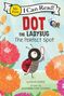 Kallie George: Dot the Ladybug: The Perfect Spot, Buch