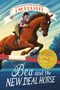 L. M. Elliott: Bea & The New Deal Horse, Buch