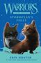 Erin Hunter: Warriors Super Edition: Stormclan's Folly, Buch