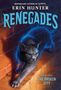 Erin Hunter: Renegades #2: The Broken City, Buch