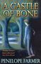 Penelope Farmer: A Castle Of Bone, Buch