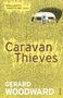 Text: „BRILLIANTLY UNSETTLING“ OBSERVER, Caravan Thieves, GERARD WOODWARD. 

Ein Wohnwagen verbirgt sich im hohen Gras.