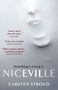 Carsten Stroud: Niceville, Buch