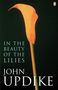 IN THE BEAUTY OF THE LILIES, JOHN UPDIKE. Orange Calla-Lilie vor schwarzem Hintergrund. Penguin-Logo oben rechts.