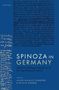 Jason Maurice Yonover: Spinoza in Germany, Buch