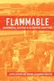 Javier Auyero: Flammable, Buch