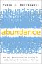 Pablo J Boczkowski: Abundance, Buch