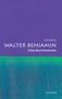 „Walter Benjamin: A Very Short Introduction“ von Eli Zaretsky. Oben lila, unten grünes Muster., Buch