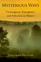 Jonathan D Phillips: Mysterious Ways, Buch