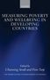 Channing Arndt: Measuring Poverty and Wellbeing in Developing Countries, Buch