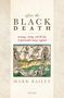 Mark Bailey: After the Black Death: Economy, Society, and the Law in Fourteenth-Century England, Buch
