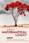 Guillermo Badia: What Is Mathematical Logic?, Buch