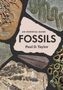 Paul D Taylor: Fossils, Buch