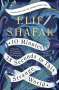Elif Shafak: 10 Minutes 38 Seconds in this Strange World, Buch