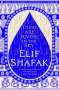 Elif Shafak: Untitled 2, Buch