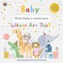 Ladybird: Baby, Where Are You?, Buch