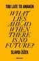 Slavoj Zizek: Time To Awaken, Buch