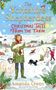 Amanda Owen: Christmas Tales from the Farm, Buch