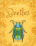 Text: "An Anthology of Beetles. A collection of brilliant beetles from around the world." Autor: Richard Jones. 

Illustration: Bunter Käfer auf gelbem Hintergrund mit gezeichneten Käfern.