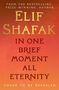 "IN ONE BRIEF MOMENT ALL ETERNITY" in großen Buchstaben auf orangenem Hintergrund. Darunter "COVER TO BE REVEALED"., Buch