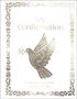 Dk: My Confirmation Memory Book, Buch
