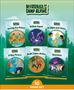 Phonic Books: Phonic Books Mysteries of Camp Alpine, Buch
