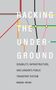 Raquel Velho: Hacking the Underground, Buch