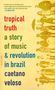 Caetano Veloso: Tropical Truth: A Story of Music and Revolution in Brazil, Buch