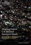 National Academies of Sciences Engineering and Medicine: Meeting Future U.S. Mineral Resource Needs, Buch