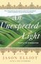 Jason Elliot: An Unexpected Light, Buch