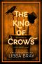 Libba Bray: The King of Crows, Buch