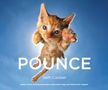 Seth Casteel: Pounce, Buch