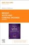 Ruth Bryant: Acute and Chronic Wounds - Elsevier eBook on Vitalsource (Retail Access Card): Intraprofessionals from Novice to Expert, Buch