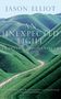 Jason Elliot: An Unexpected Light, Buch