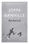 John Banville: Birchwood, Buch