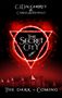 C. J. Daugherty: The Secret City, Buch