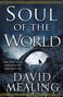 David Mealing: Soul of the World, Buch