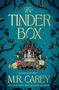 "The Tinder Box" in großer Schrift auf blauem Hintergrund, umgeben von schwarzen Ranken. Unten "M.R. Carey". Illustration mit Schloss und Flammen.