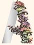 Jeff VanderMeer: Ambergris, Buch, Buch