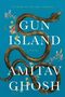 Amitav Ghosh: Gun Island, Buch