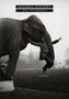 Dan Chiasson: Natural History, Buch