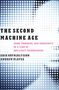 Erik Brynjolfsson: Second Machine Age, Buch