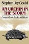 Stephen Jay Gould: Urchin in the Storm, Buch
