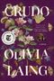 Olivia Laing: Crudo, Buch
