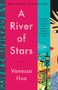 Vanessa Hua: A River of Stars, Buch