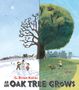 G Brian Karas: As an Oak Tree Grows, Buch