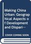 Hyun Bang Shin: Making China Urban, Buch