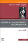 "Clinics in Plastic Surgery" und "Clinics Review Articles" stehen auf einem Cover mit Illustration eines Rückansichts eines Menschen., Buch