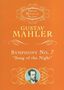 Gustav Mahler: Symphony No 7, Buch